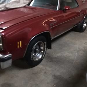 Meet your Posher, Larry